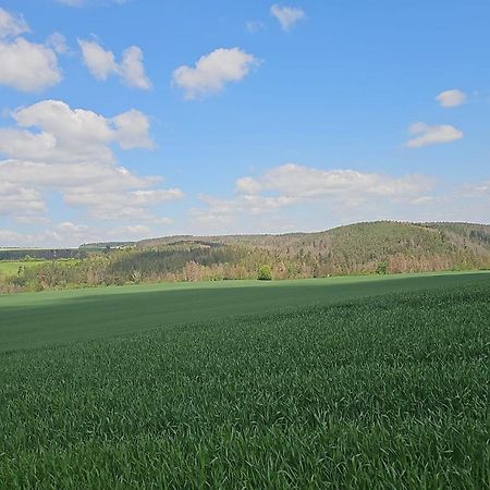 Ferienhaus-Wurzbach Esterno foto
