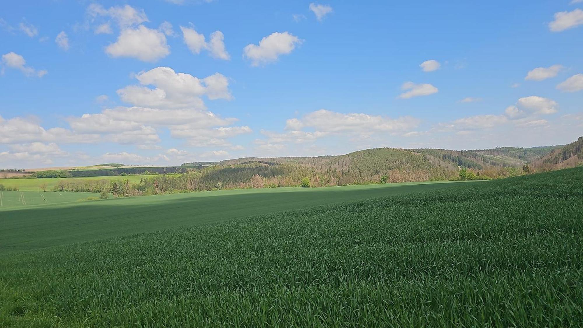 Ferienhaus-Wurzbach Esterno foto